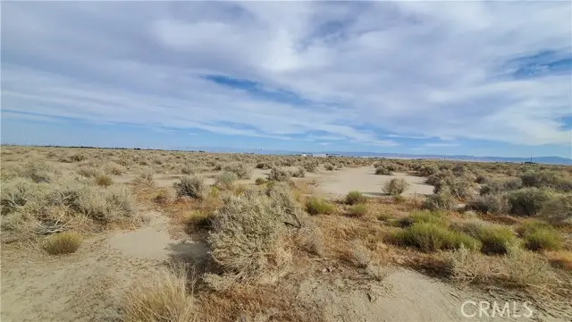 0 Buckhorn Ave & Killdeer (92nd), Rosamond, CA 93560 - Image #2