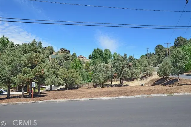 2029 St Bernard Drive, Pine Mountain Club, CA 93222 - Image #1