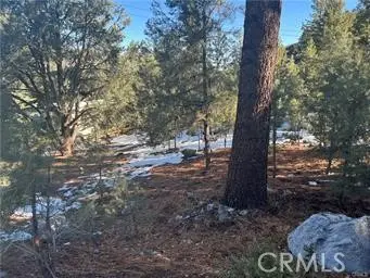 1604 Linden Drive, Pine Mountain Club, CA 93222 - Image #2