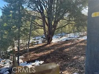 1604 Linden Drive, Pine Mountain Club, CA 93222 - Image #3