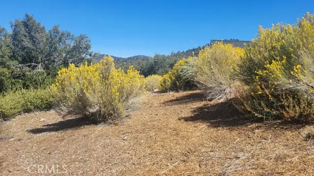 1806 Zermatt, Pine Mountain Club, CA 93222 - Image #1