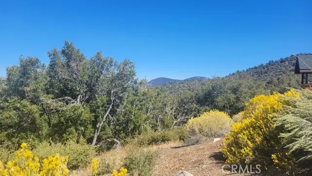 1806 Zermatt, Pine Mountain Club, CA 93222 - Image #2