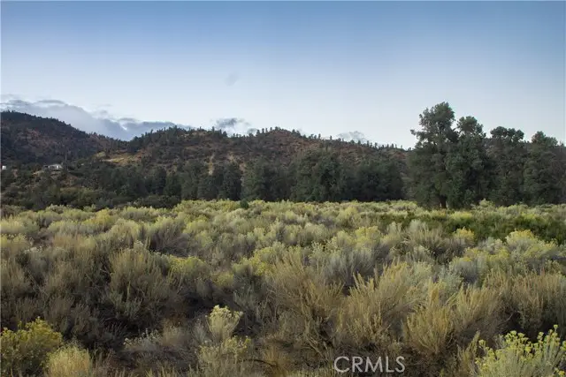 0 Curtis Trl, Frazier Park, CA 93225 - Image #3