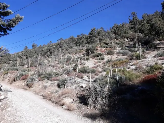 0 North End Drive, Frazier Park, CA 93225 - Image #2