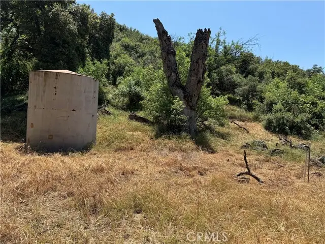 0 San Francisquito Canyon Road, Green Valley, CA 91390 - Image #3