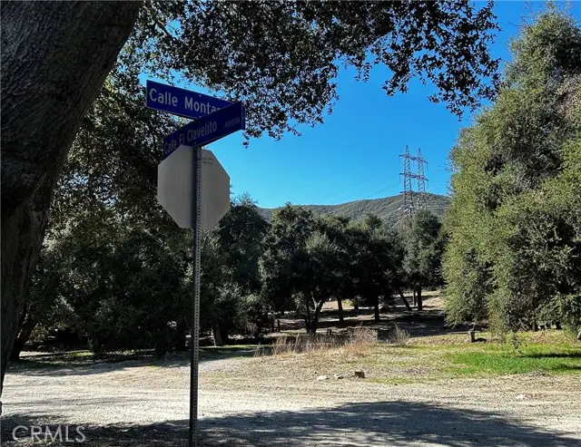 0 Calle El Clavelito/3227016011, Green Valley, CA 91390 - Image #3
