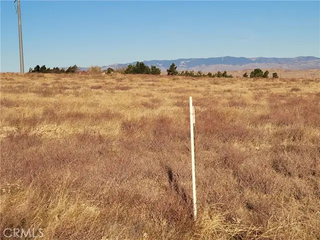 105 W Avenue K, Lancaster, CA 93536 - Image #3