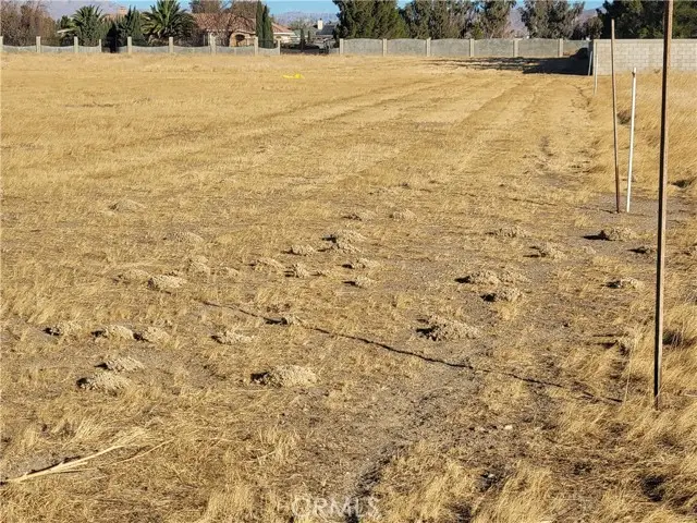 81 W Avenue D, Lancaster, CA 93536 - Image #2