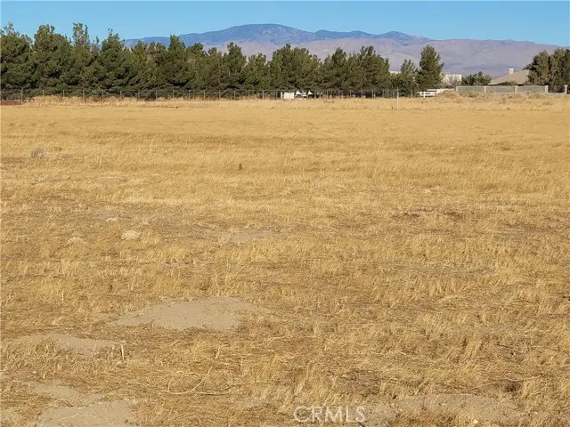 81 W Avenue D, Lancaster, CA 93536 - Image #3