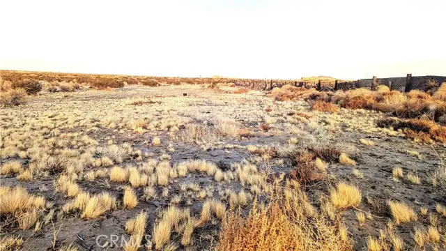 230 E Avenue N-12, Palmdale, CA 93591 - Image #2