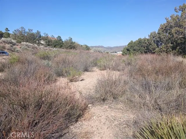 0 West Avenue Y - 8, Acton, CA 93510 - Image #3