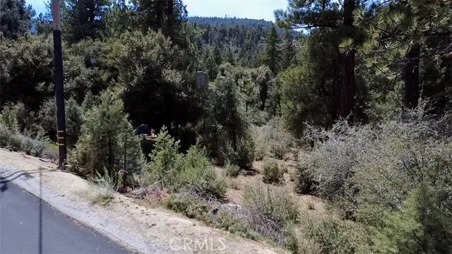 2313 Askin Ct., Pine Mountain Club, CA 93222 - Image #2