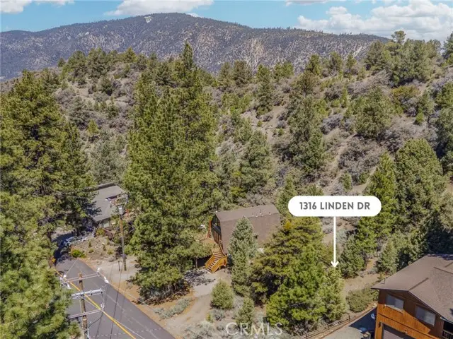 1316 Linden Drive, Pine Mountain Club, CA 93222 - Image #1