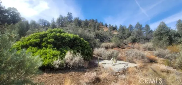 32897 Seymour Canyon Road, Frazier Park, CA 93225 - Image #2