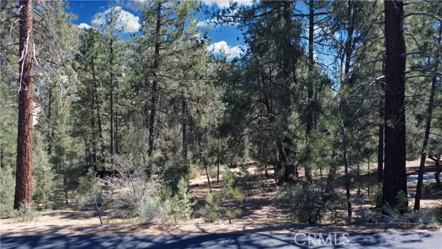 2530 Brentwood Place, Pine Mountain Club, CA 93222 - Image #2