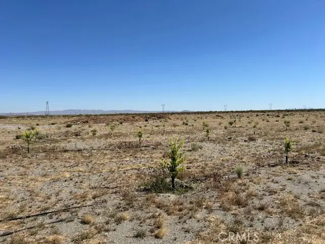 14545 Oasis Road, Phelan, CA 92371 - Image #1