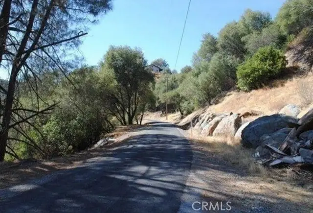 3425 Paint Road, Angels Camp, CA 95222 - Image #2