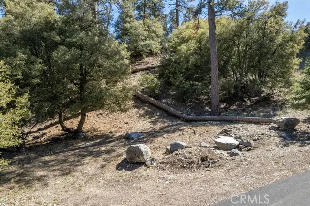 1300 Banff Drive, Pine Mountain Club, CA 93222 - Image #1