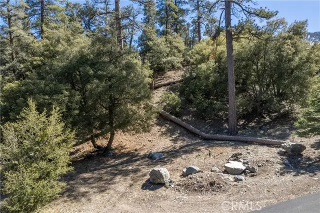 1300 Banff Drive, Pine Mountain Club, CA 93222 - Image #2