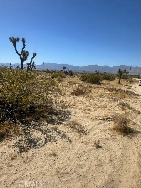 25311 E Avenue H-8, Lancaster, CA 93535 - Image #1