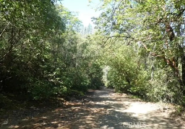 27 Dancing Wind Drive, Oroville, CA 95966 - #2