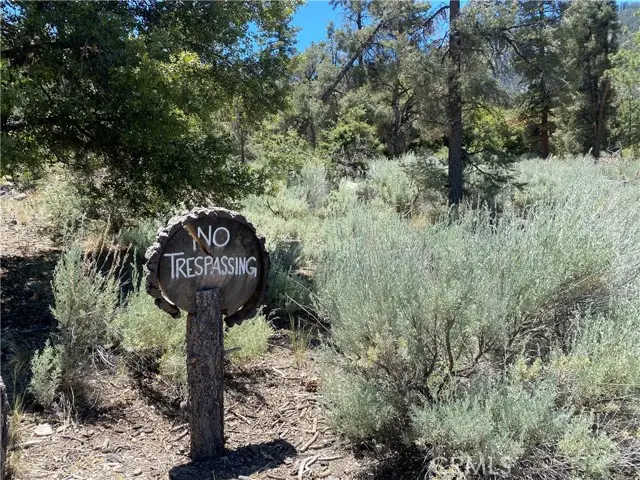 1912 Ironwood Drive, Pine Mountain Club, CA 93222 - Image #3
