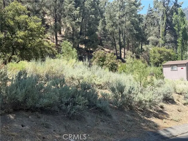 2221 Symonds Drive, Pine Mountain Club, CA 93222 - Image #2