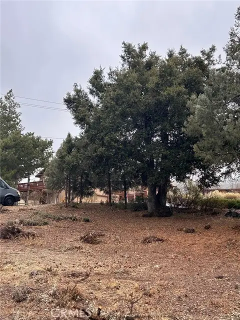 2029 Zermatt Drive, Pine Mountain Club, CA 93222 - Image #2