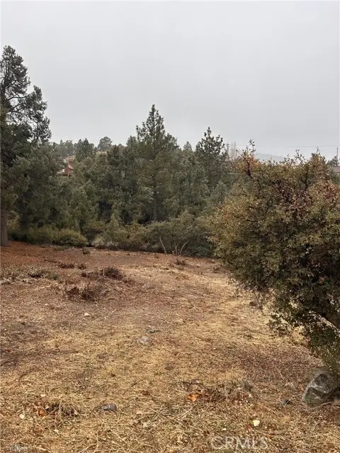 2029 Zermatt Drive, Pine Mountain Club, CA 93222 - Image #3