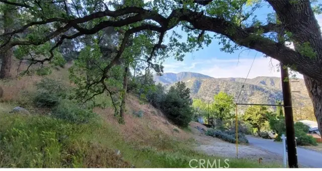 0 Pine Canyon, Frazier Park, CA 93225 - Image #1