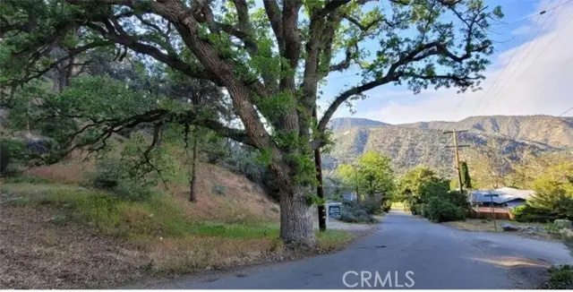 0 Pine Canyon, Frazier Park, CA 93225 - Image #3