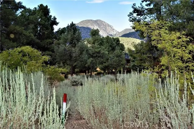 14704 Pinehurst Drive, Pine Mountain Club, CA 93225 - Image #1