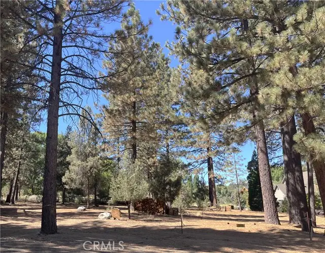 2613 Teakwood Court, Pine Mountain Club, CA 93222 - Image #1