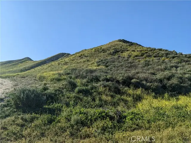 462 Waters Road, Moorpark, CA 93021 - Image #1