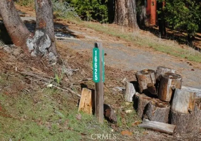 16625 Alpine Lane, Pioneer, CA 95666 - Image #2