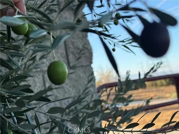 8539 W Avenue L, Lancaster, CA 93536