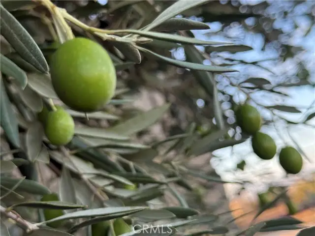 8539 W Avenue L, Lancaster, CA 93536 - Image #2