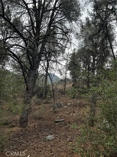 14208 Yellowstone Drive, Pine Mountain Club, CA 93225 - Image #1