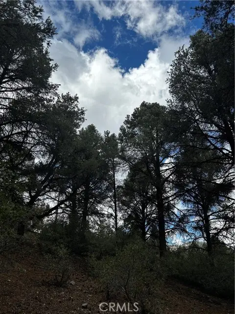 14208 Yellowstone Drive, Pine Mountain Club, CA 93225 - Image #2