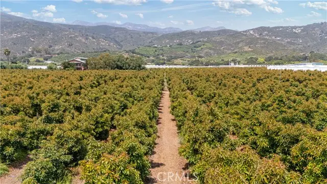 5366 Foothill Road, Carpinteria, CA 93013 - Image #3