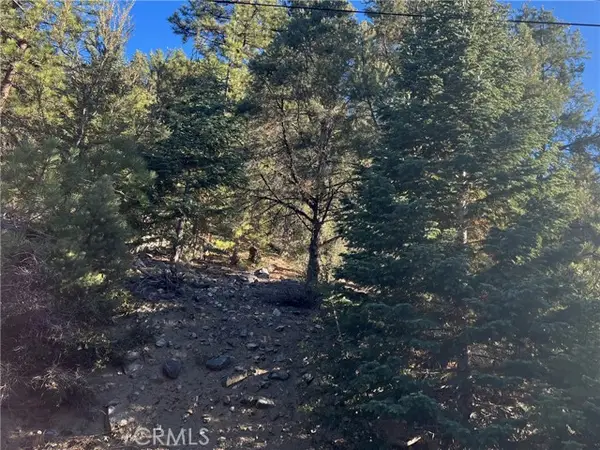 15028 Chestnut, Pine Mtn Club, CA 93222