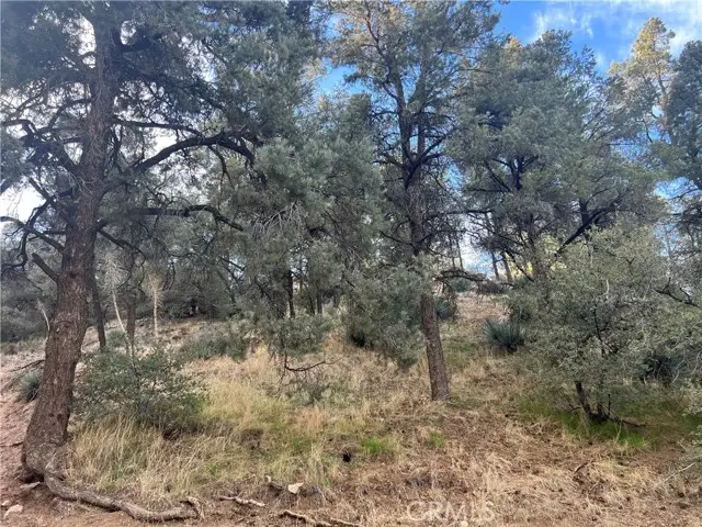 0 Encino And Truman, Frazier Park, CA 93225 - Image #1