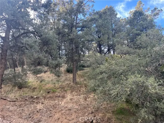 0 Encino And Truman, Frazier Park, CA 93225 - Image #2