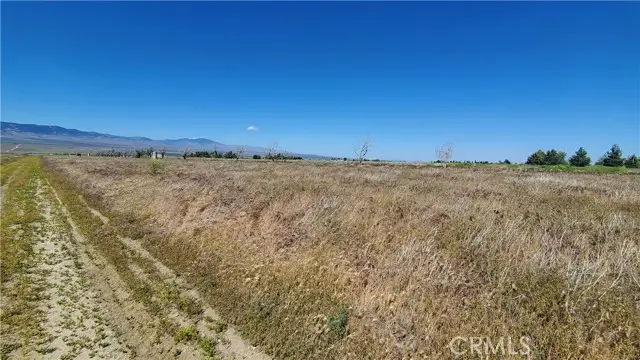 0 263rd St West North Of Ave C13, Fairmont, CA 93536 - #3