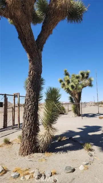 18597 Saint Basil, Adelanto, CA 92301 - Image #2