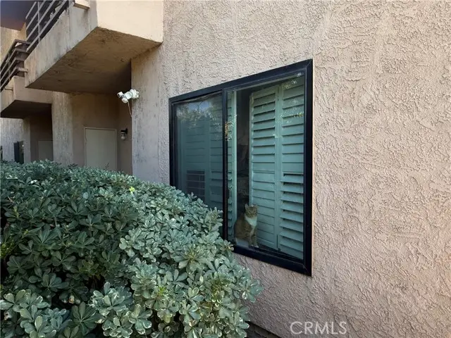 6815 Remmet, Canoga Park, CA 91303 - Image #3