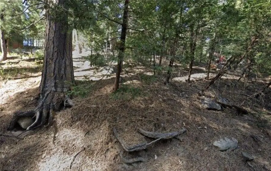 25547 Mid Ln, Twin Peaks, CA 92391 - Image #2