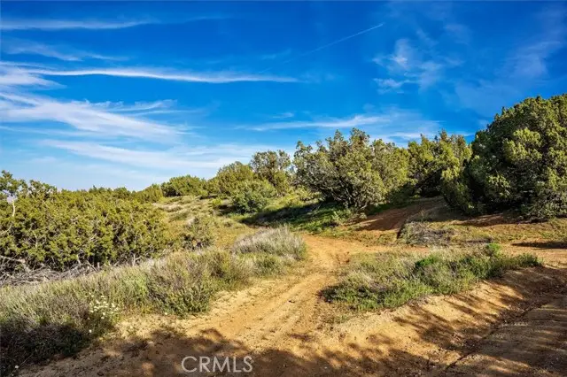 48725 Shallow Springs Road, Leona Valley, CA 93551 - #3