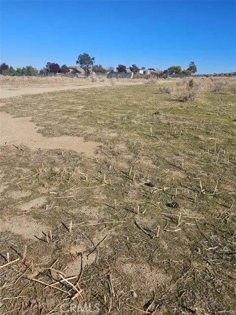 0 111 Ste Drt Vic V14 Ste, Pearblossom, CA 93553 - #1