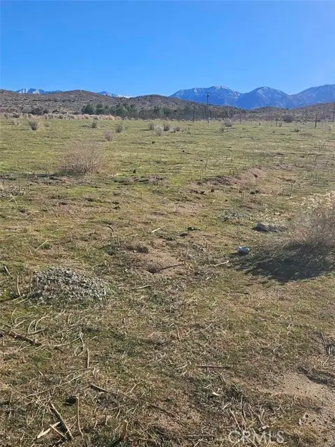 0 111 Ste Drt Vic V14 Ste, Pearblossom, CA 93553 - #2